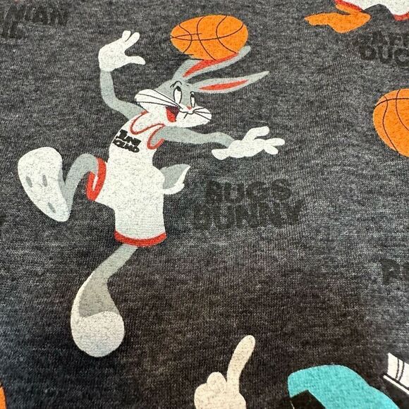 Space Jam Short Sleeve Gray T-shirt | Youth Size XL - Picture 3 of 13